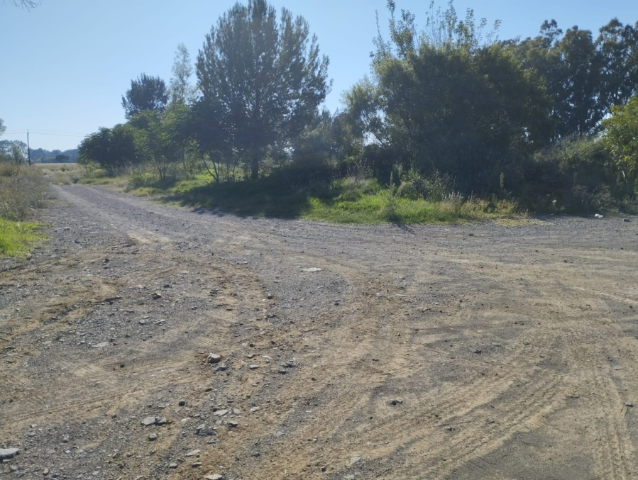 Commercial Property for Sale in Estoire Free State